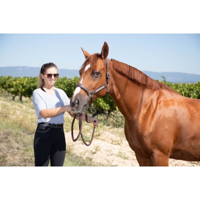 Séance Photo avec votre cheval à coté de Aix-en-Provence