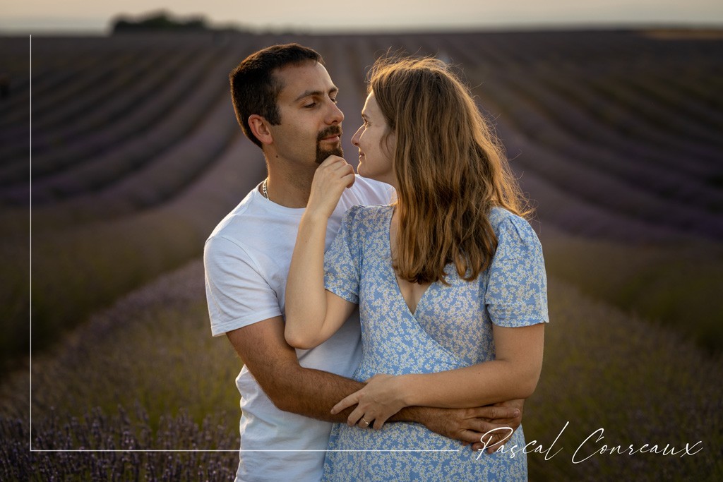 Séance photos engagement couple sur le plateau de Valensole