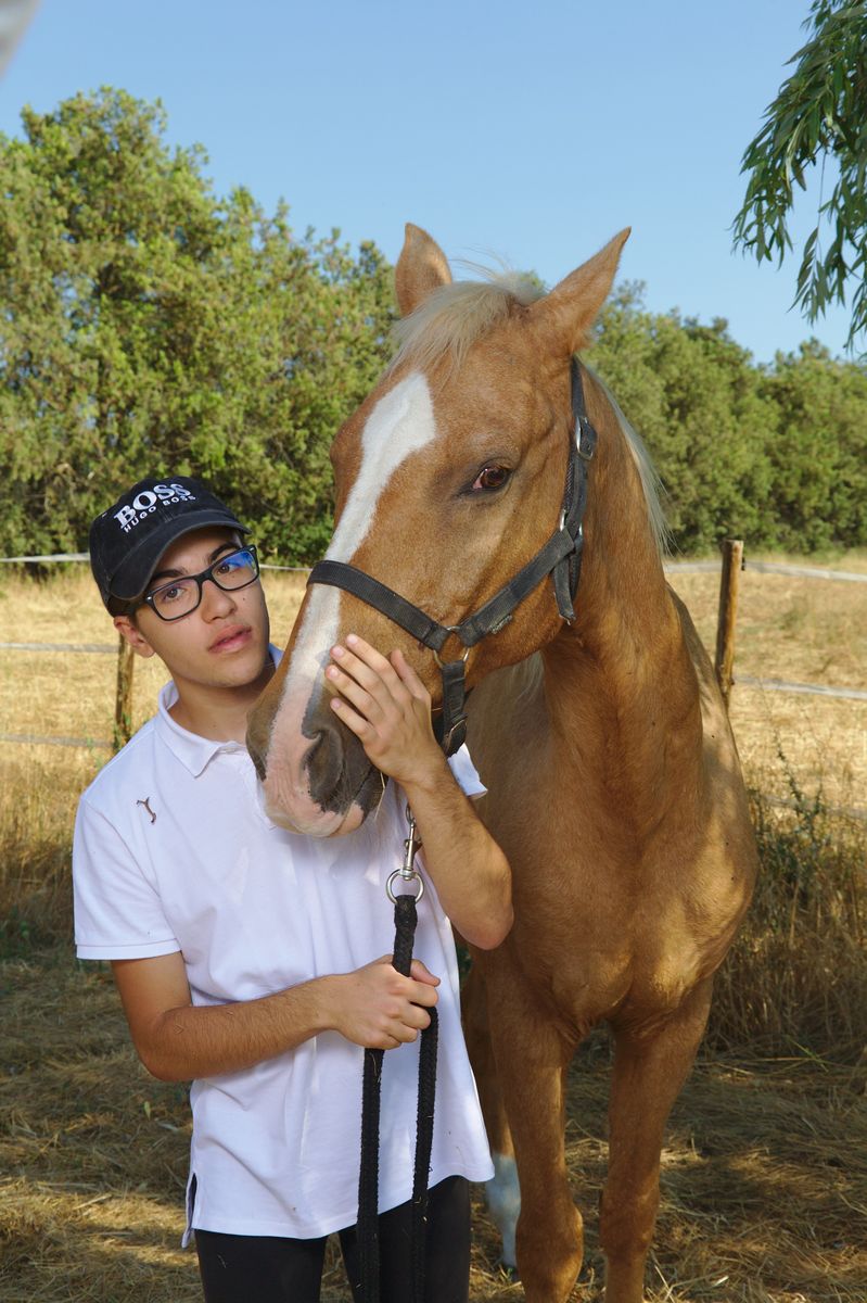 photographe chevaux centre equestre aix en provence IMG 0590
