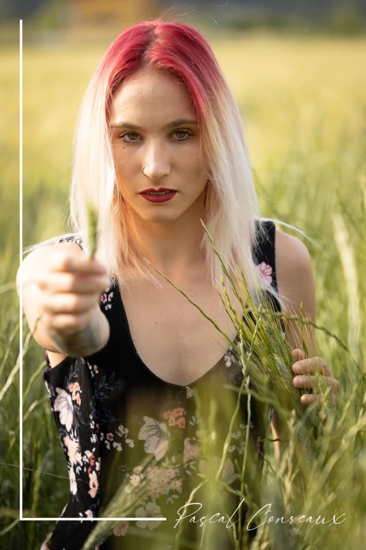 Photographe Shooting Femme champs de bl&eacute; &agrave; Aix en Provence Bouches du Rh&ocirc;ne 13