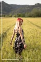 img 0035rs photographe pro shooting femme champs ble provence aix en provence
