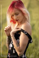 img 0081rs photographe pro shooting femme coquelicots provence aix en provence