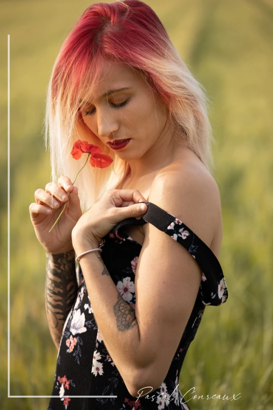 Photographe Shooting Femme champs de bl&eacute; &agrave; Aix en Provence Bouches du Rh&ocirc;ne 13