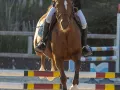 photographe cheval equitation cso istres le deven d121 img 0433