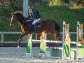 photographe cheval equitation cso istres le deven d121 img 0574