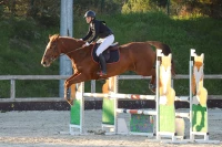 photographe cheval equitation cso istres le deven d121 img 0609