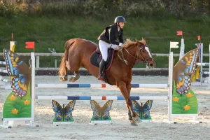 photographe cheval equitation cso istres le deven d121 img 0636