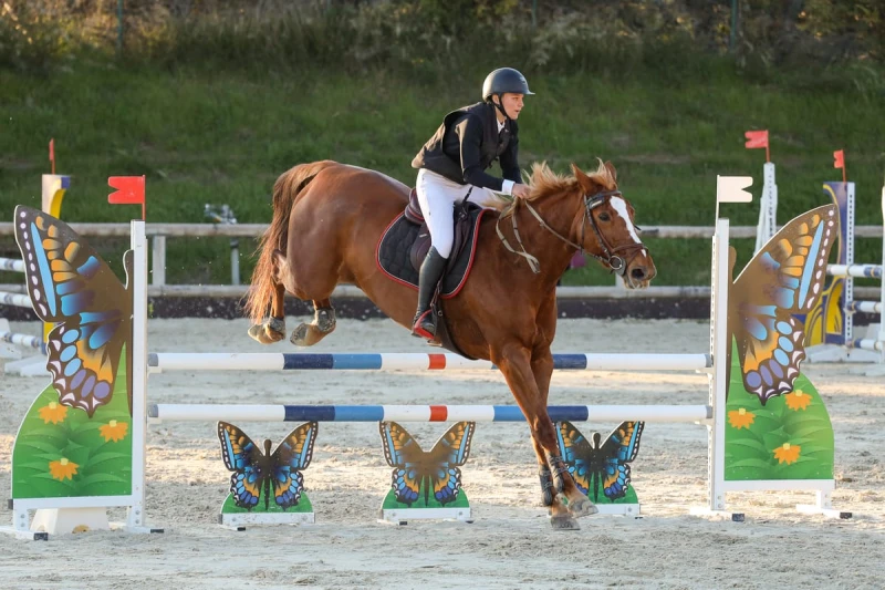 photographe cheval equitation cso istres le deven d121 img 0636