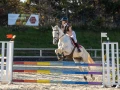 photographe cheval equitation cso le deven d121 img 0335