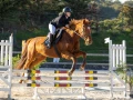 photographe equestre cso istres le deven d121 img 0064