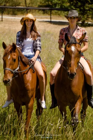Photographe pour photos avec votre cheval en extérieur 