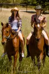 Photographe pour photos avec votre cheval en ext&eacute;rieur 