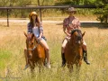 Photographe pour photos avec votre cheval en extérieur 