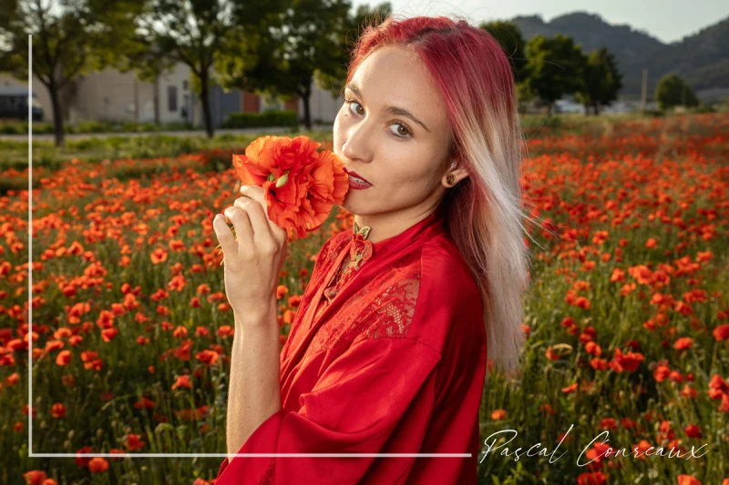 Photographe Shooting Femme champs de coquelicots &agrave; Aix en Provence Bouches du Rh&ocirc;ne 13