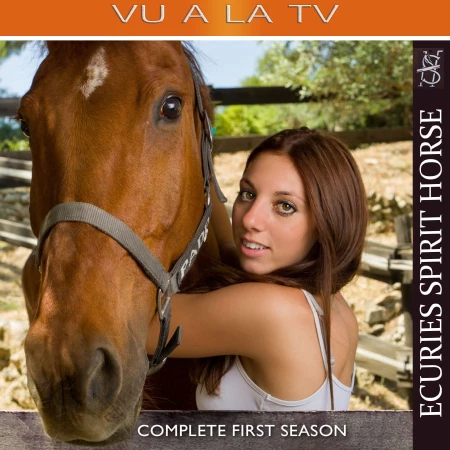 photographe cheval equestre modele agence mannequin bouches du rhone