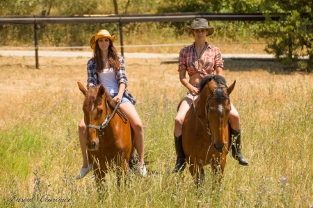 photographe cheval equestre modele agence mannequin bouches du rhone