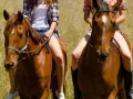 photographe cheval equestre modele agence mannequin bouches du rhone