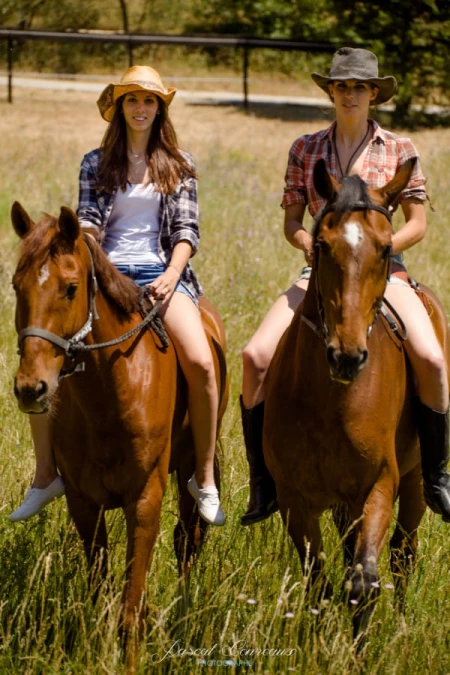 photographe cheval equestre modele agence mannequin bouches du rhone
