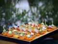 Photos Vin d'honneur pendant le mariage &agrave; la Bastide de Toursainte avec Femel Traiteur
