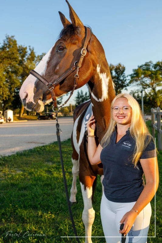 img photographe domaine equestre relais saint pons shooting cheval