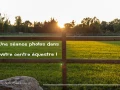 img 5126 shooting photos equestre cavaliere aix en provence