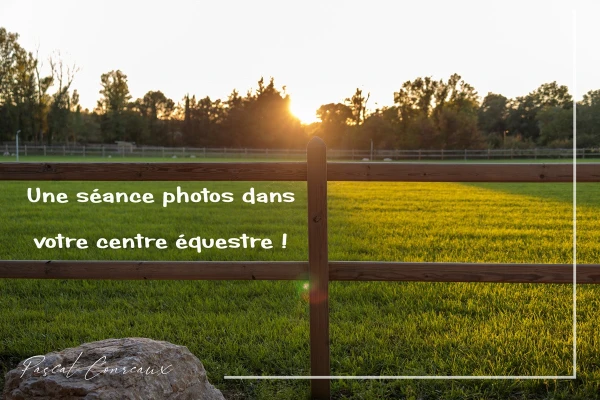 Photographe cheval à Aix-en-Provence