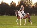 img shooting cheval galop photographe aix en provence