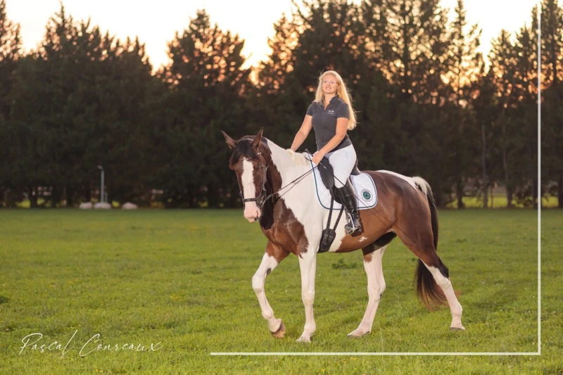 img shooting cheval galop photographe aix en provence