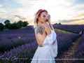 Photographe pour s&eacute;ance photos femme en ext&eacute;rieur dans les lavandes